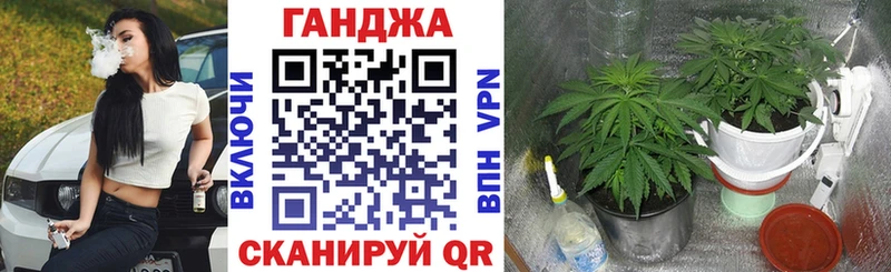 гидра как зайти  где продают наркотики  Пересвет  Каннабис гибрид 